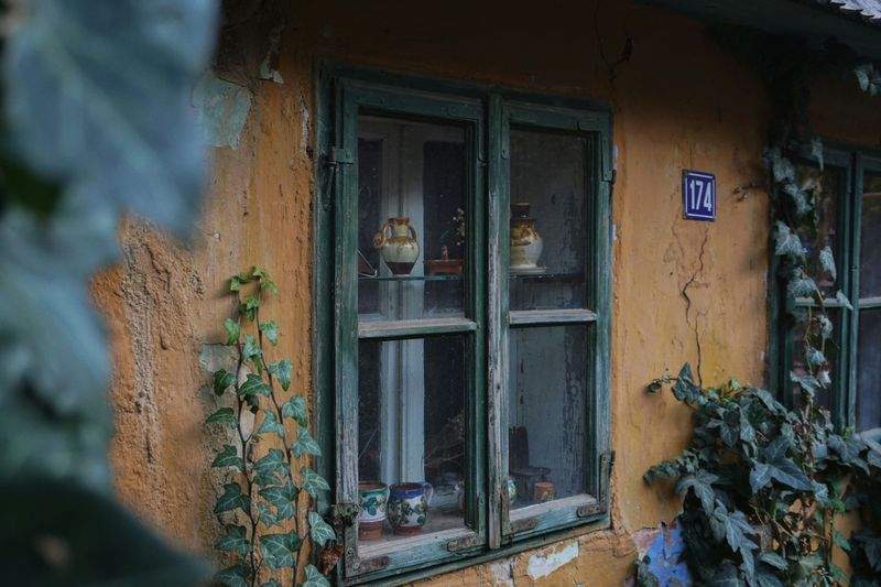 陶芸の杜 - Image 7